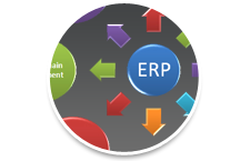 Integrar el inventario, pedidos y facturación de su Negeso W/CMS sistemas de oficina de sitios web o tienda web con su ERP volver como SAP, Exactas, etc.